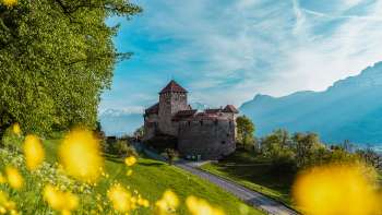 Schloss Vaduz mit gelben Blumen im Vordergrund an einem sonnigen Frühlingstag
