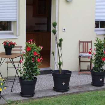 Terrasse Ferienwohnung Annette