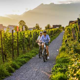 Zwei Radfahrerinnen in den Weinbergen von Liechtenstein bei Sonnenuntergang – E-Bike-Tour mit Blick auf die Alpen und Reben