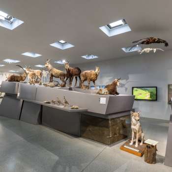 Liechtensteinisches LandesMuseum