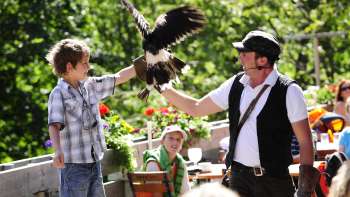 Ein Junge hält einen Greifvogel auf dem Arm, angeleitet von einem Falkner in traditioneller Kleidung, im Rahmen einer Greifvogelvorführung in Malbun Ein Junge hält einen Greifvogel auf dem Arm, angeleitet von einem Falkner in traditioneller Kleidung, im Rahmen einer Greifvogelvorführung in Malbun