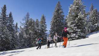Gruppe von Schneeschuhwanderern unterwegs durch die verschneite Winterlandschaft bei Malbun am Schönberg.