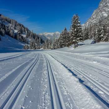 Frisch gespurte Langlaufloipe in Steg mit Panoramablick auf die verschneite Alpenlandschaft
