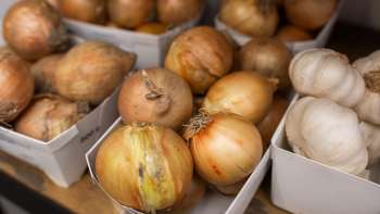 Hausgemachte Zwiebeln und Knoblauch im Hofladen des Neufeldhofs – hochwertige Produkte aus Liechtensteiner Landwirtschaft.