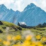 Fernblick auf die Pfälzerhütte in Liechtenstein mit wilden Blumen im Vordergrund und steilen Felsgipfeln im Hintergrund
