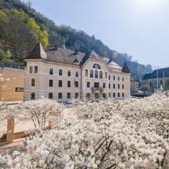Regierungsgebäude in Vaduz mit weißen Blumen im Vordergrund bei strahlendem Sonnenschein
