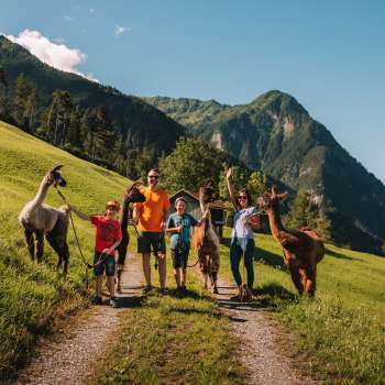 Familienshooting mit Lamas und Alpakas im Sommer Malbun