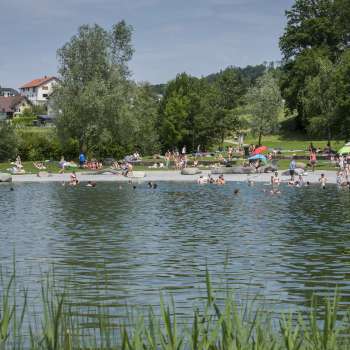 Sommerlicher Badetag im Naturteich der Freizeitanlage Grossabünt, umgeben von grüner Wiese und Bäumen.
