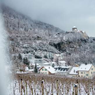 Verschneite Weinberge und Häuser in Vaduz mit Blick auf das Schloss Vaduz an einem winterlichen Tag