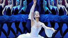 Swan Lake Swan Lake