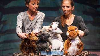 Die Muskeltiere