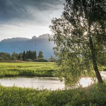 Ruhige Wasserlandschaft im Ruggeller Riet mit sanftem Sonnenlicht und Blick auf die Berge im Hintergrund.