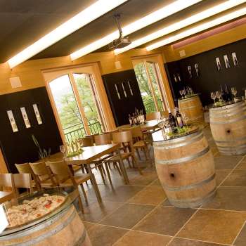 Harry Zech Weinbau - Cantina