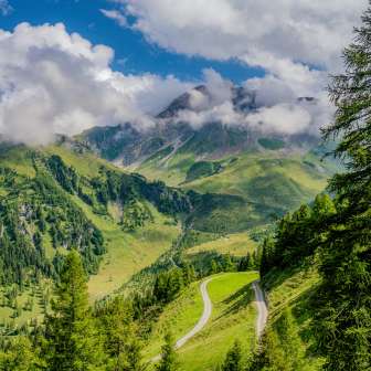 Geschwungener Bergwanderweg durch grüne Wiesen und Lärchenwald mit Blick auf wolkenverhangene Berggipfel im alpinen Gebiet