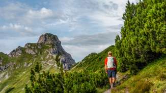 Wanderer auf schmalem Pfad durch Latschenkiefern in Malbun, Liechtenstein mit Blick auf felsige Berggipfel