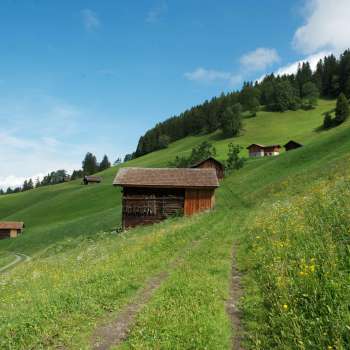 Alpweiden mit verstreuten Holzstadeln an einem grünen Hang bei Masescha.
