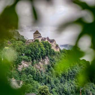 Das Schloss Vaduz thront auf einem Hügel über der Stadt, umgeben von Wald – fotografiert durch die Unschärfe grüner Blätter im Vordergrund.