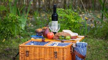 Picknickkorb mit Weinflasche im Wald