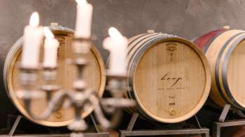 Stimmungsvolle Aufnahme im Weinkeller des Weinguts Hoop mit beschrifteten Barriquefässern und Kerzenlicht.