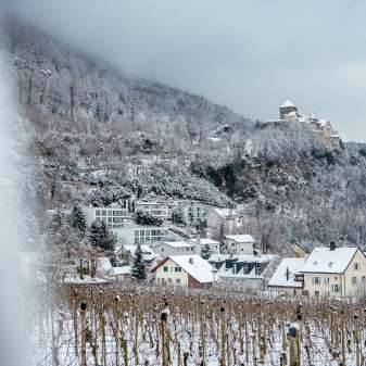 Verschneite Weinberge und Häuser in Vaduz mit Blick auf das Schloss Vaduz an einem winterlichen Tag