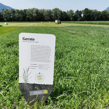 Tafel mit Informationen auf dem Weltacker Balzers mit grünen Feld im Hintergrund