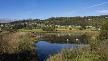 Winterstimmung am Egelsee in Mauren mit gefrorenem See, schneebedecktem Schilf und klarem Himmel.