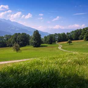 Bofel in Triesen: geschwungener Wanderweg durch Wiesen mit Blick auf die Berge