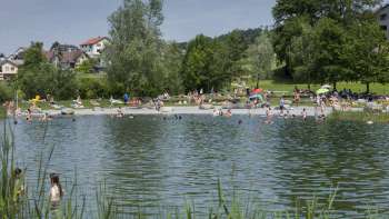 Sommerlicher Badetag im Naturteich der Freizeitanlage Grossabünt, umgeben von grüner Wiese und Bäumen.