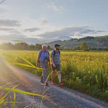 Wanderung mit Marco Büchel auf dem Liechtenstein-Weg mit Blick auf idyllische Wiesenlandschaft.