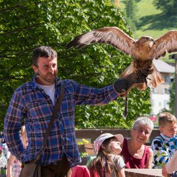 Ein Falkner präsentiert einen Greifvogel, Kinder und Erwachsene schauen begeistert zu.