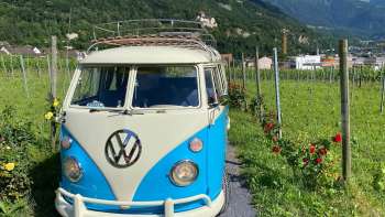 Nostalgischer VW-Bus auf einem Weg durch die Weinberge mit Blick auf das Schloss Vaduz