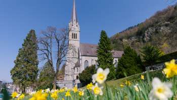 Blumenwiese vor der Kathedrale St. Florin in Vaduz – eindrucksvolle Frühlingsstimmung in Liechtenstein.