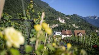 Schloss Vaduz – Sommer