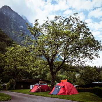 Zeltplatz auf dem Camping Mittagsspitze mit roten Zelten unter einem großen Baum vor Bergkulisse.