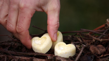 duatguat Kräuterwerk