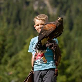 Adler sitzt auf der Hand eines Jungen