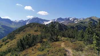 Wanderweg durch alpine Heidelandschaft mit Blick auf die schneebedeckten Gipfel.