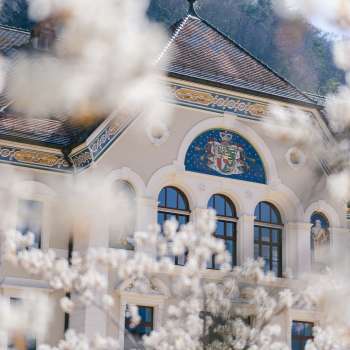 Fassade des Regierungsgebäudes in Vaduz, eingerahmt von weiß blühenden Bäumen im Frühling.