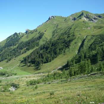 Grüne Alpwiesen und bewaldete Hänge rund um die Alp Lawena in Liechtenstein an einem klaren Sommertag, mit Blick auf die umliegenden Berge.