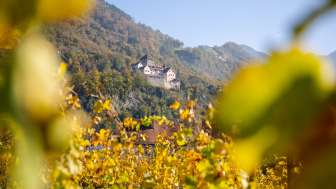 Schloss Vaduz