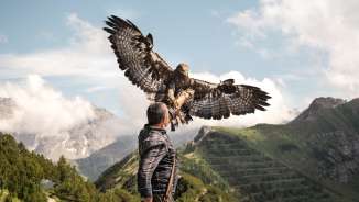 Falkner Norman Vögeli präsentiert einen imposanten Steinadler vor alpiner Bergkulisse – ein beeindruckendes Naturschauspiel in luftiger Höhe.