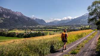 Frau wandert auf einem Feldweg mit Panorama-Aussicht über das Rheintal in Liechtenstein
