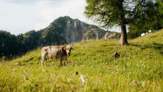 Wandern in Liechtenstein