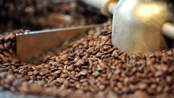 Frisch geröstete Kaffeebohnen