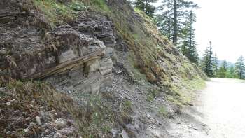 Station 9 Geologiepfad Malbun: Gipsgestein näher betrachtet