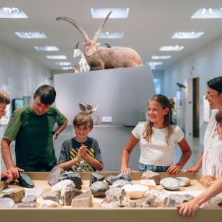 Mitmachausstellung im LandesMuseum Vaduz Familie mit Kindern an einem interaktiven Steintisch in der Naturkunde-Ausstellung des LandesMuseums Liechtenstein, umgeben von Tierpräparaten