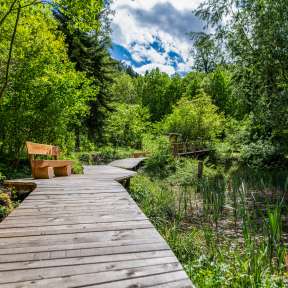 Holzsteg mit Bank führt durch grünen Wald und Feuchtgebiet am Naturlernpfad in Mauren-Schaanwald, Liechtenstein