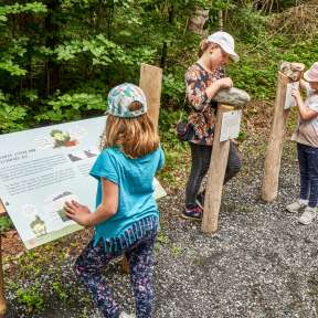 Drei Kinder erkunden interaktive Informationstafeln auf dem Themenweg Wurz und Zirp im Wald in Liechtenstein
