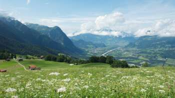 Blick über eine blühende Wiese ins Rheintal mit umliegenden Bergen.