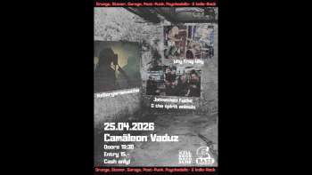 Kellergeräusche, Johnethen Fuchs, Why Frog Why